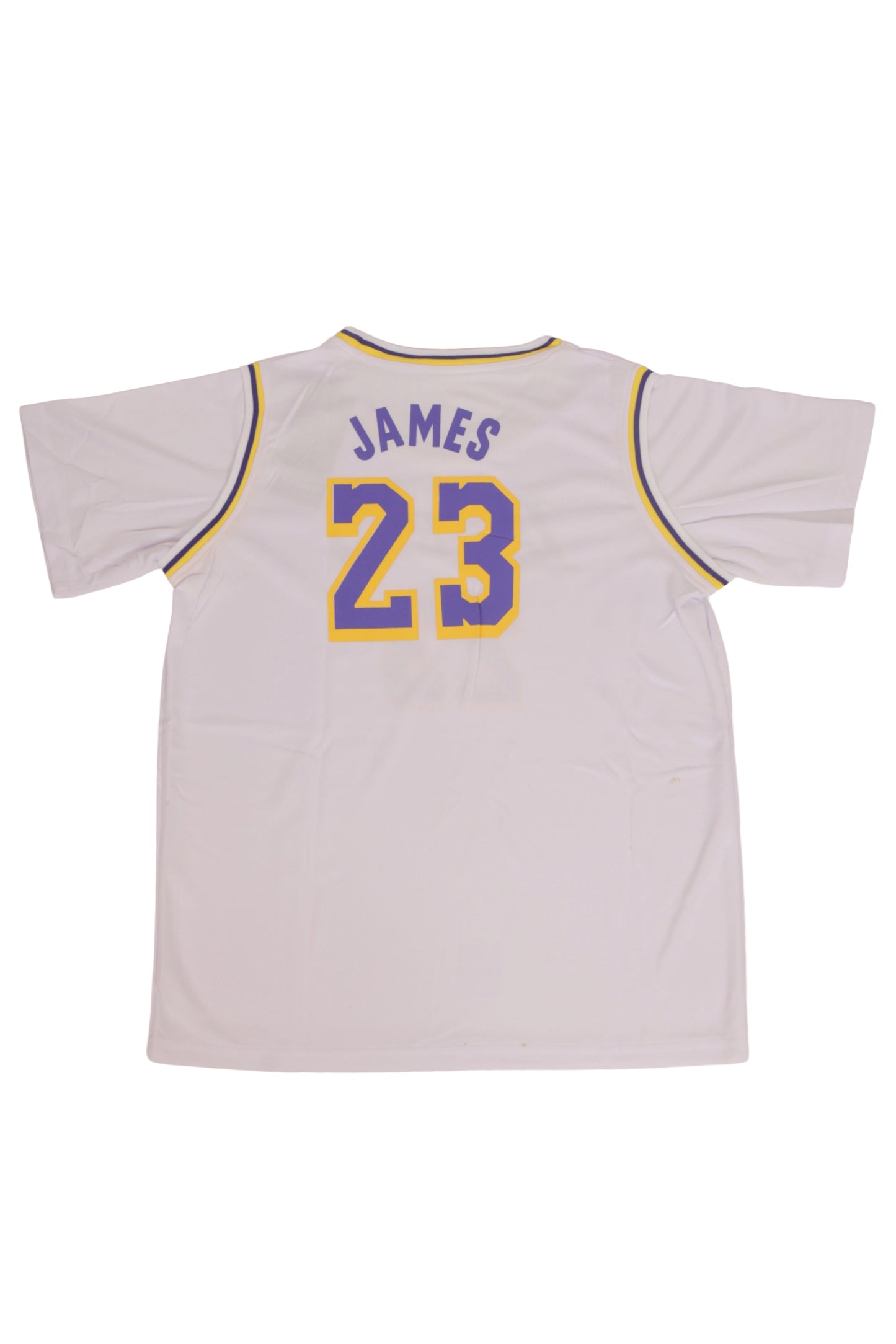 Next Gen Lakers Look