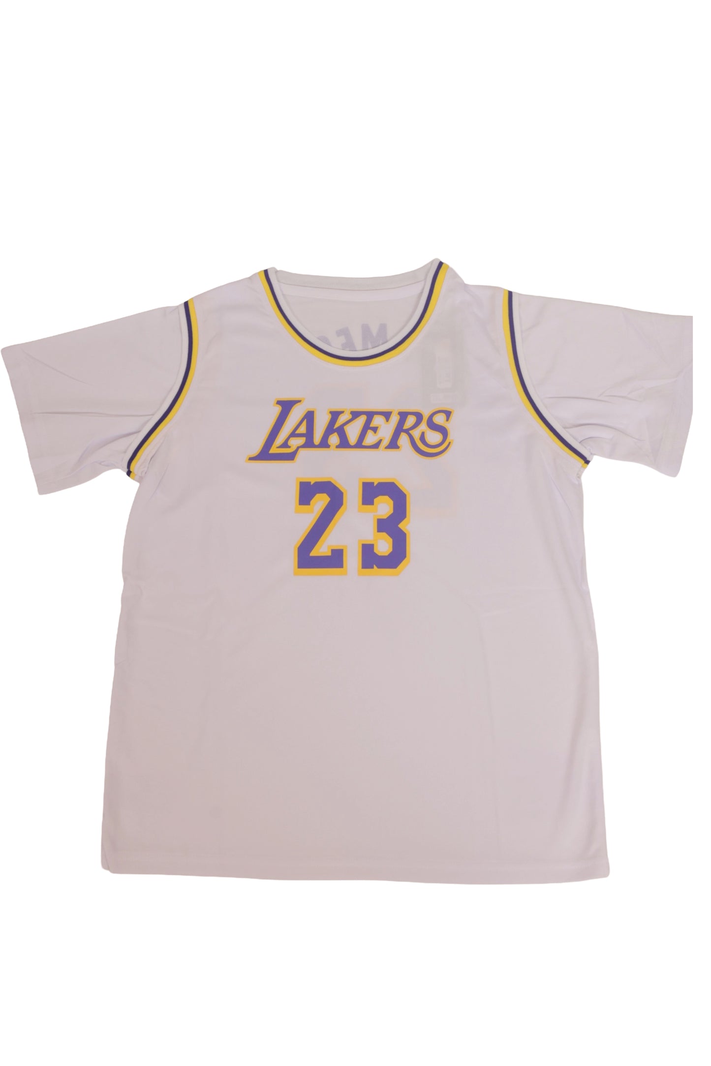 Next Gen Lakers Look